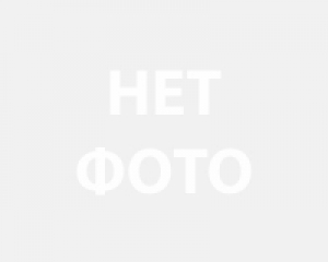 Ибрагим Рабаданов